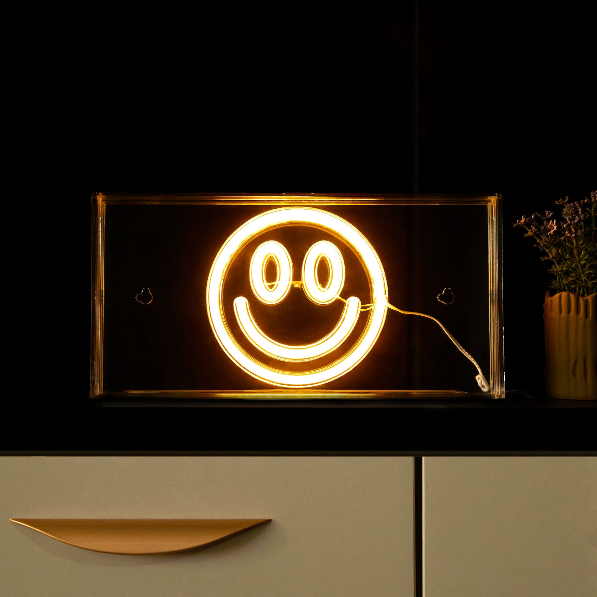LED Neon Smiley Face Light-Up Clear Acrylic Box, Yellow